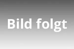 Birgit Brandes